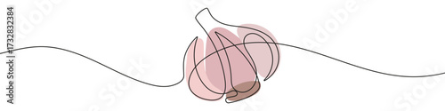 Garlic in one line art style. Garlic drawing with editable black stroke and color on white background. Vector illustration.