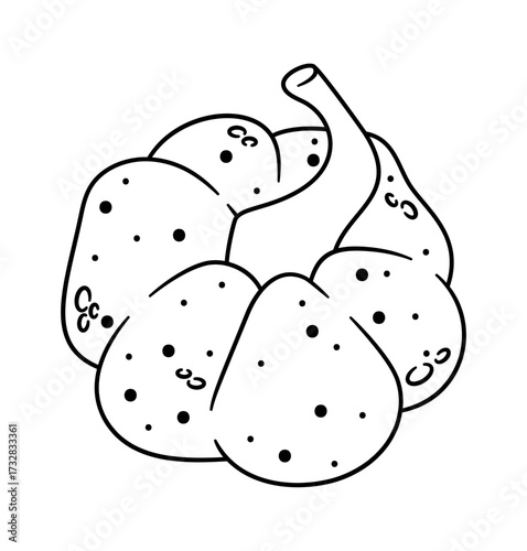 Pumpkin black-and-white natural autumn vegetable