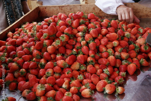 Costa Rica Strawberries