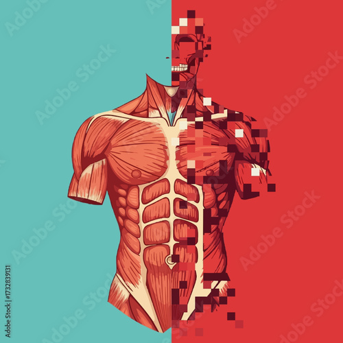 Vector illustration of human anatomy showing the muscular system of the torso transitioning into digital pixels, representing a fusion of biology and technology