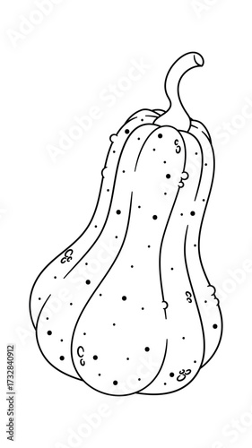 Autumn pumpkin black-and-white eco vegetable