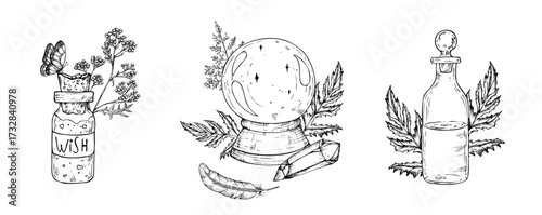 Vector set with crystal ball to predict the fate, tansy and butterfly, Glass potion bottle with cork and wish sign, leaves, feather, amethyst crystal. Hand painted linear illustration of Guessing for
