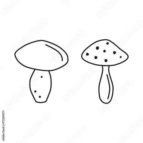 Cute hand drawn outline edible mushroom and fly agaric amanita isolated on white background.