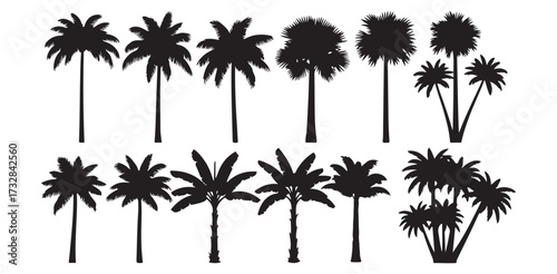 Tropical Palm Tree Silhouette Vector Art Design Summer Beach Vacation Exotic Flora Nature Illustration Landscape