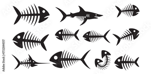 Skeleton Fish Bones Vector Art Marine Wildlife Animal Aquatic Sea Ocean Life Cartoon Dead Shark Illustration Graphic
