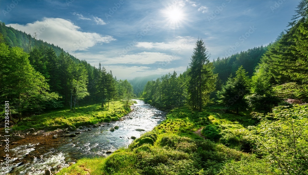 Fototapeta premium Lush Green Forest Landscape With A Winding River During Midday In A Serene Natural Setting