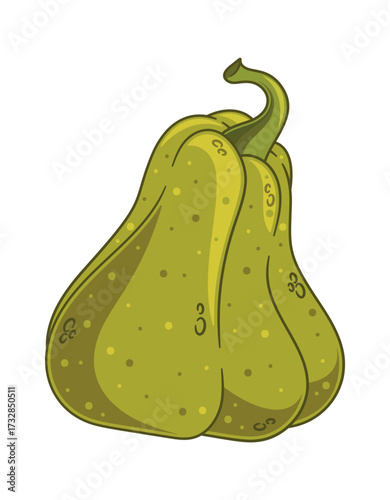 Green pumpkin autumn vegetable cartoon