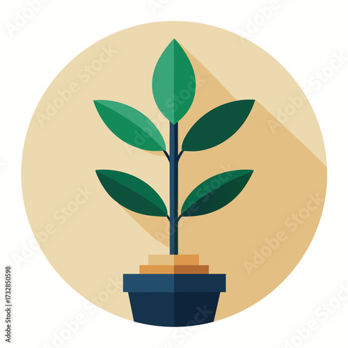 A venture funding icon with a seed growing into a money tree vector illustration