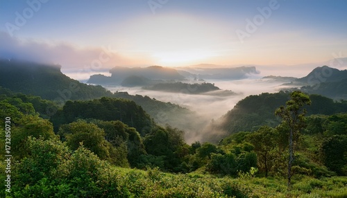 Misty Viewpoint Over Lush Green Landscape Nature Photography Foggy Environment Serene Atmosphere