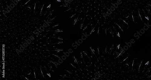 Geometric kaleidoscope. Video material in gray, black.