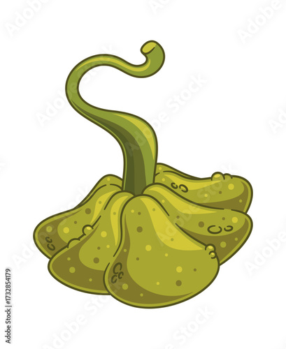 Quirkily autumn pumpkin green vegetable