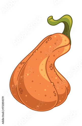 Orange pumpkin autumn vegetable harvest