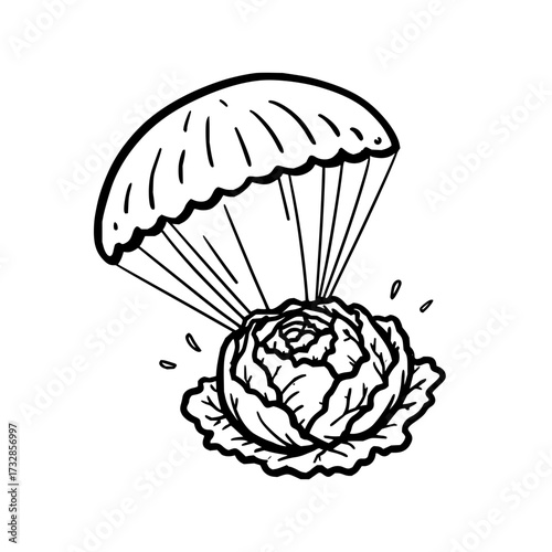 A cabbage is falling from the sky with a parachute in a black and white line drawing illustration art