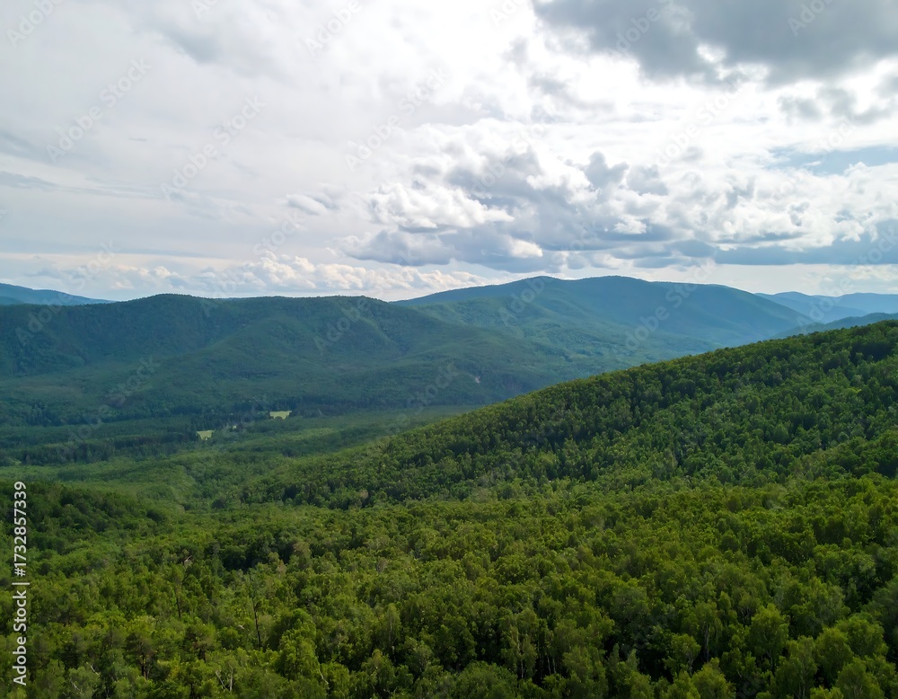 Fototapeta premium Mountain vista, lush forest, cloudy sky