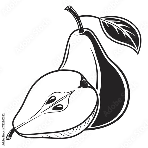 pear fruit vector illustration