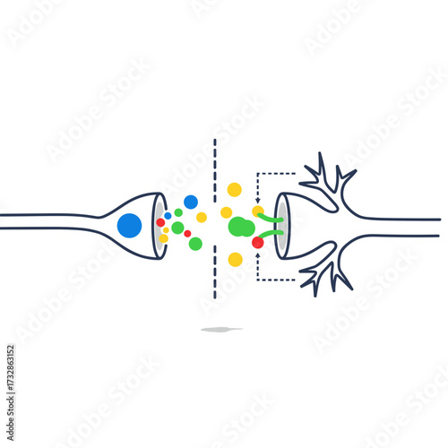 Neuron synapse transmission demonstrates the electrochemical process, showing neuron structure. Diagram of neuron synapse for educational resources and visual aids explains synaptic transmission.
