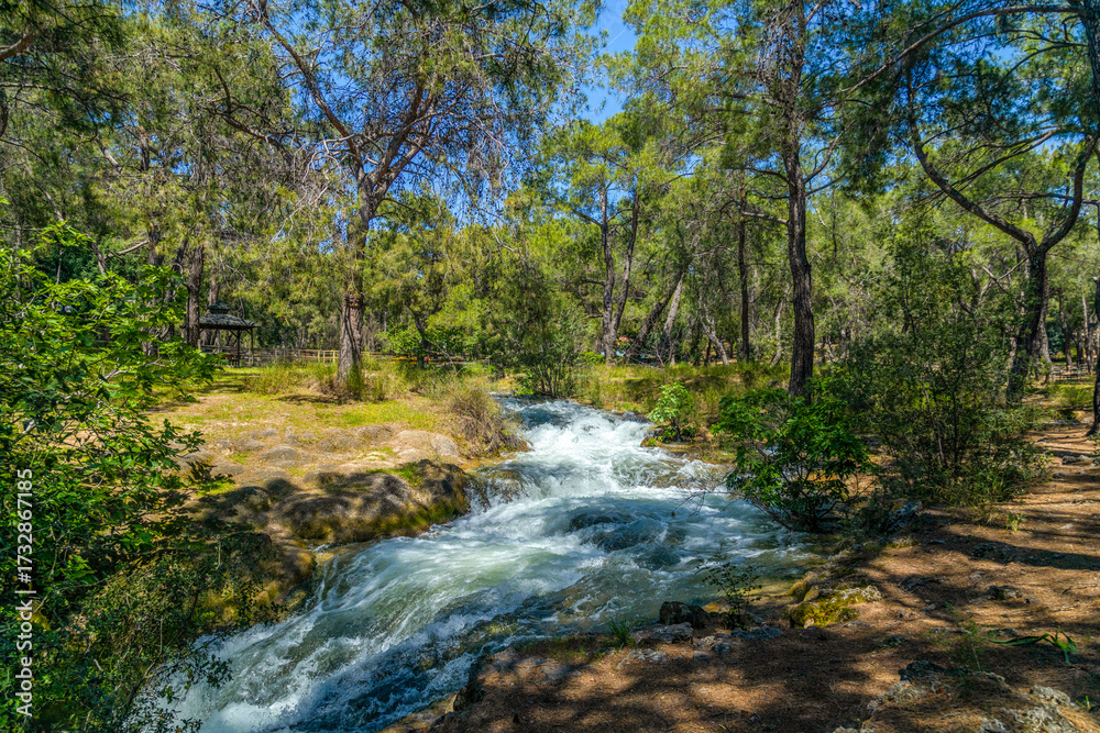 Obraz premium Mountain stream with turquoise water cascading over mossy rocks, creating a turbulent white flow in a sun-dappled forest park. A hidden natural oasis in Antalya, Turkey.