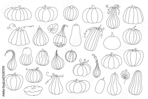 Pumpkins set simple hand drawn line art vector illustration, doodle vegetable for seasonal autumn, fall holidays celebration design, healthy vegetarian diet ingredient, Thanksgiving, Halloween clipart