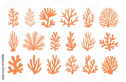 Collection of Orange Coral Silhouettes on White Background