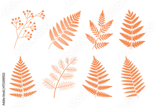 Collection of Orange Fern Leaves and Berries on White Background