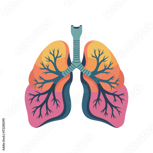 Stylized illustration of human lungs with bronchial tree