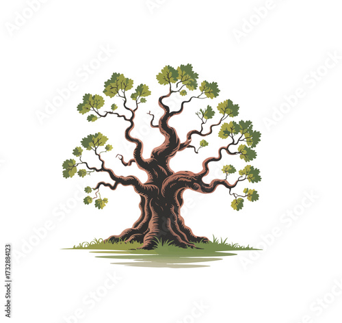 Ancient gnarled oak tree with lush green leaves