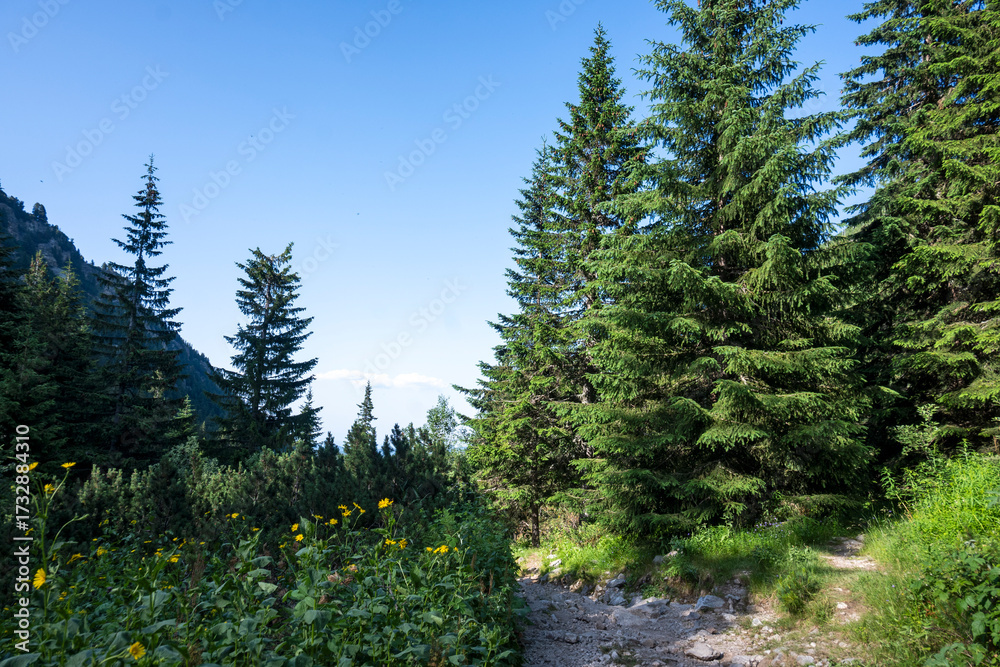 Fototapeta premium Landscape of Rila Mountain near Malyovitsa peak, Bulgaria