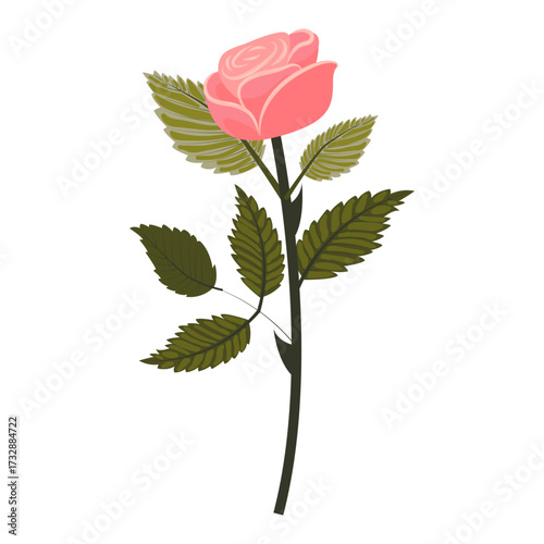 Delicate pink rose. Flower on a slightly inclined stem. Vector illustration isolated on a white background.