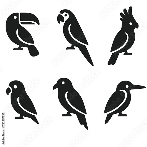 Tropical Bird Icons. Solid style icons of tropical birds: toucan, macaw, parrot, cockatoo, lovebird, hornbill, lorikeet,