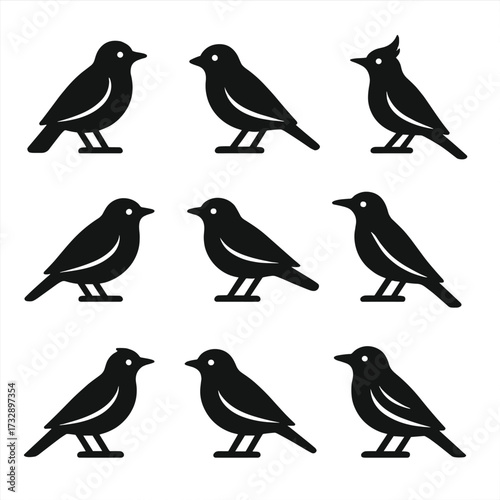 Songbird Icons Collection. Solid style icons of songbirds: nightingale, canary, lark, mockingbird, warbler, thrush, skylark,