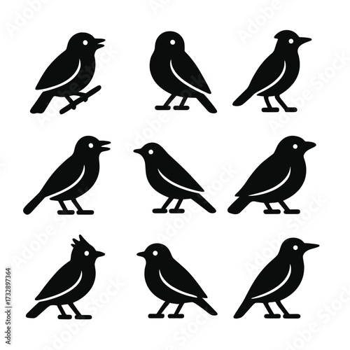 Songbird Icons Collection. Solid style icons of songbirds: nightingale, canary, lark, mockingbird, warbler, thrush, skylark,
