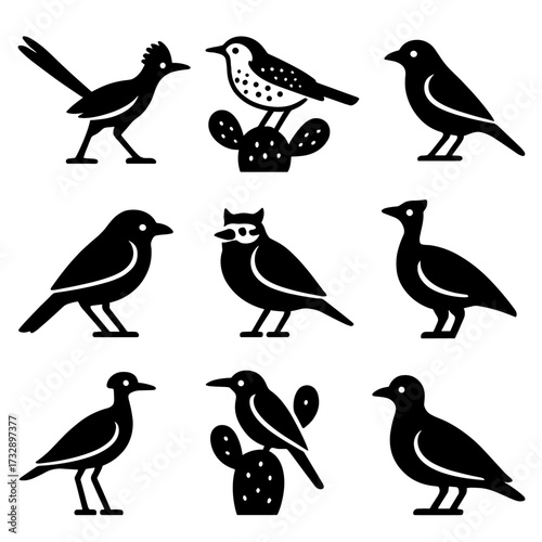 Desert Birds Icons. Solid style icons of desert and dry climate birds: roadrunner, cactus wren, desert lark, sandgrouse, shrike,
