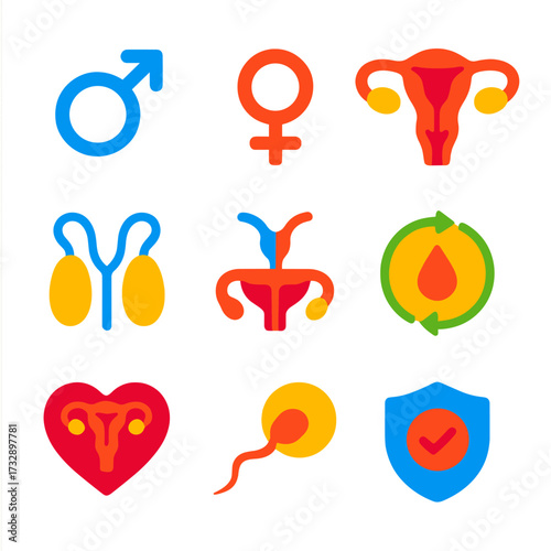 Bright Reproductive Icons. Flat vector icons of reproductive system: male symbol, female symbol, uterus and ovaries, testes and