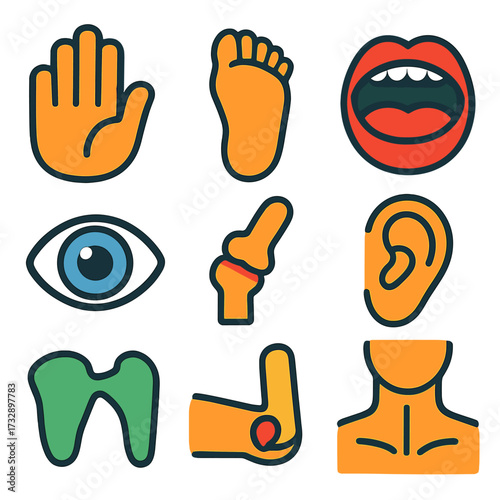 Colorful Body Part Icons. Flat vector icons of detailed body parts: hand palm, foot sole, open mouth, eye close-up, finger joint,