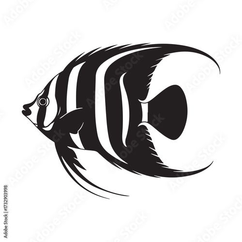 Silhouette striped angelfish vector isolated on white background