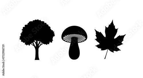 Nature's Trio Tree, Mushroom, Leaf