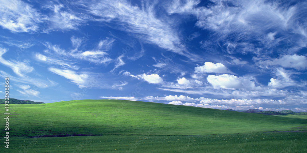 Fototapeta premium Vintage Windows XP Blissful Meadow Desktop Wallpaper Nostalgic Digital Landscape View From The Past