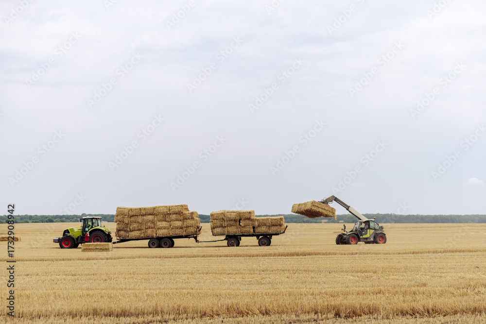 Obraz premium Tractors Harvesting Hay: A Scenic View of a Farmer's Field as Straw Bales Are Loaded onto Trailers for Transport During the Golden Hours of the Agricultural Season in Summer