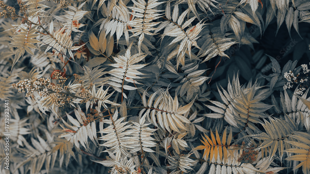 custom made wallpaper toronto digitalSoft carpet of faded fern leaves fills frame, muted autumn palette shifts from cool gray to tawny gold, delicate veins and matte surfaces create layered pattern with gentle light and shallow depth