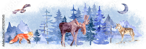 Photography Winter forest