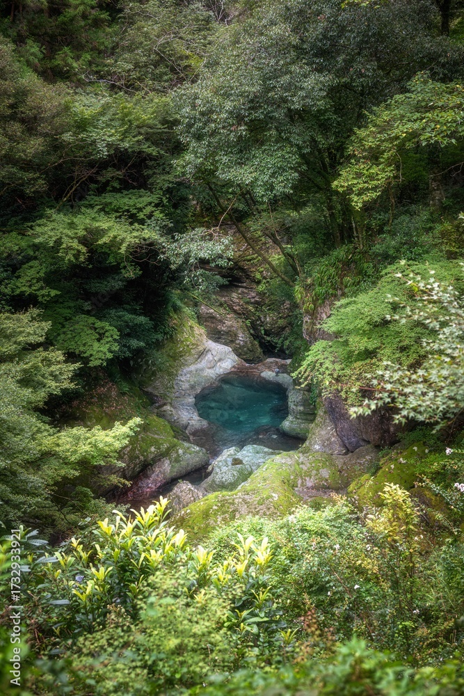 Naklejka premium 高知県仁淀川町 新緑の中津渓谷 