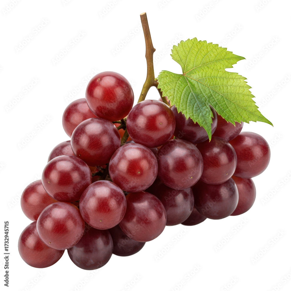 Fototapeta premium Bunch of Red Grapes Fresh Juicy Sweet Fruit Isolated Natural Harvest Ripe Healthy Snack Delicious Food Close-up Viticulture Vineyard