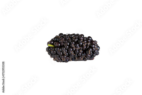 Amoras frescas isoladas