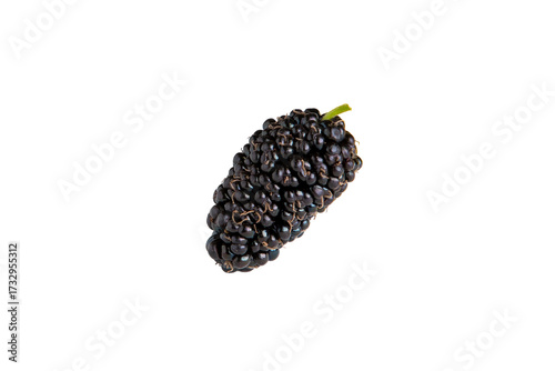 Amoras frescas isoladas