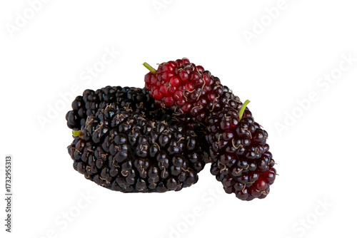 Amoras frescas isoladas