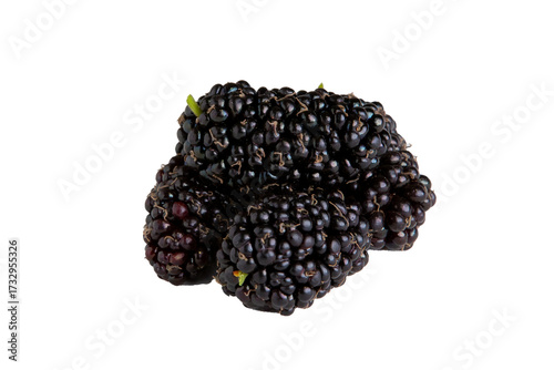 Amoras frescas isoladas