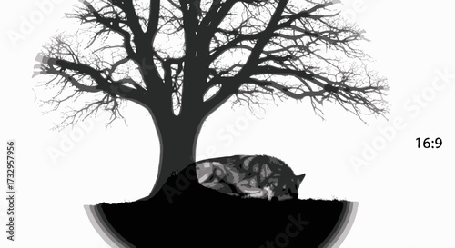 Monochromatic sanctuary a resting wolf beneath the protective boughs of an old tree