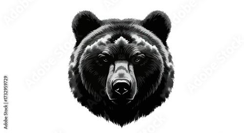 Dramatic monochromatic portrait showcasing the powerful presence of a bear with intricate fur detail