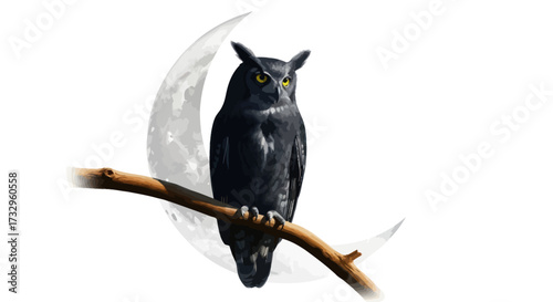 Illustration of a majestic owl perched on a branch with a crescent moon backdrop