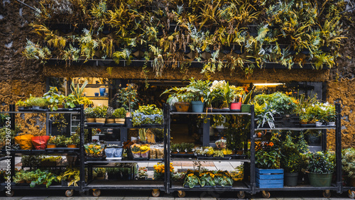 Colorful flower shop display with shelves full of potted plants, flowers and greenery, set against a rustic wall decorated with a lush vertical garden of hanging ferns
